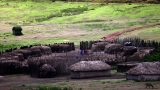 Serengeti-best_111-min