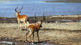 Serengeti-best_47-min