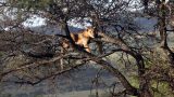 Serengeti-best_81-min