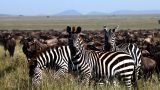 Serengeti-best_87-min