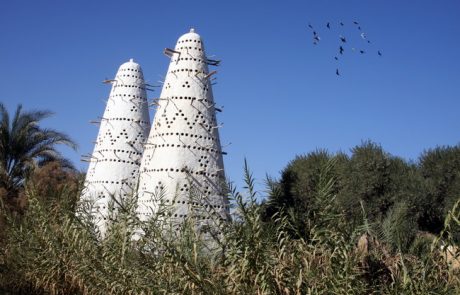נאת המדבר סיווה, שבמדבר המערבי של מצרים