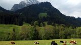 Swiss-15_108