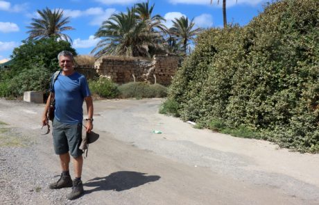 היסטוריה של טנטורה