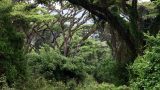 Tanzania-14-b_26-min