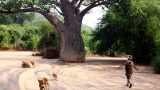 Tanzania-14-b_33-min