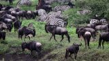 Tanzania-14-b_95-min