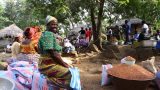 Togo-web_12