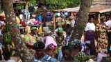 Togo-web_14