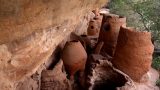 Togo-web_27