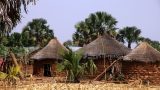Togo-web_33
