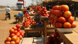 Zambia-w_40