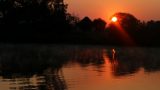 Zambia-w_7