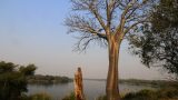 Zambia-w_91
