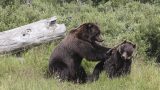 alaska-13