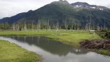 alaska-17