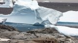 alaska-18-2