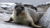 alaska-19