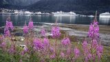 alaska-5