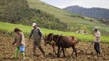 albania-28