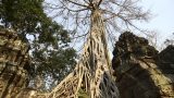 angkor-4