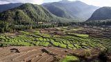 bhutan-9