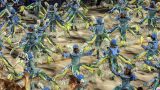 brazil-14