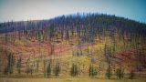 classic-mongolia-1