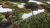 colombia-9