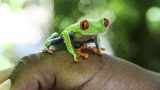 costa-rica-15