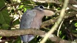 costa-rica-17