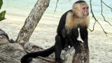 costa-rica-19
