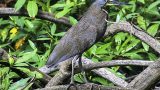 costa-rica-2