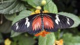 costa-rica-20