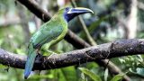 costa-rica-5