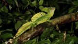 costa-rica-8