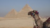 egypt-16