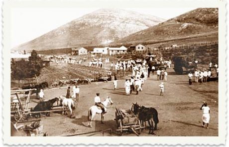 העליה השלישית