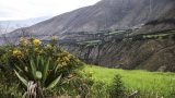 equador-18
