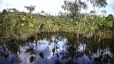 equador-8