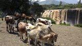 ethiopia-4