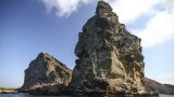 galapagos-10