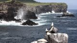 galapagos-4