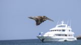 galapagos-5