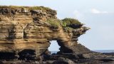galapagos-6
