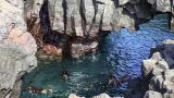 galapagos-7