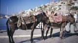 greece_x-13