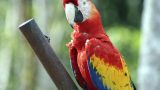 honduras-3