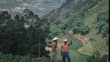 indonesia-x-10