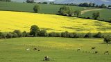 ireland-10