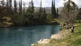 israel-20